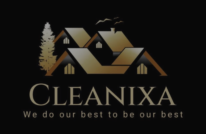 Cleanixa LLC – We do our best to be our best